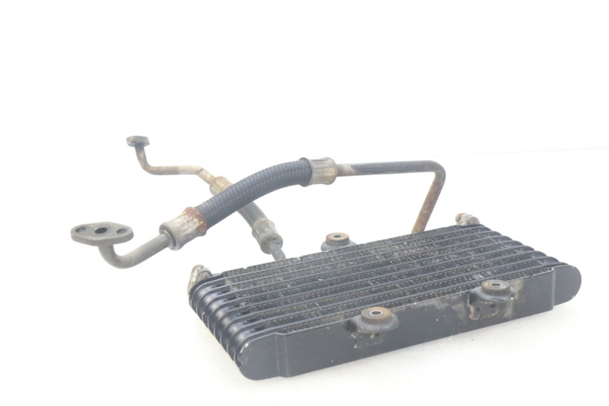 photo de RADIATORE OLIO SUZUKI XF FREEWIND 650 (1997 - 2003)