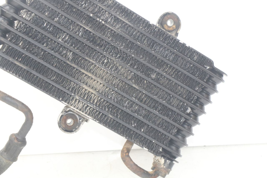 photo de RADIATORE OLIO SUZUKI XF FREEWIND 650 (1997 - 2003)