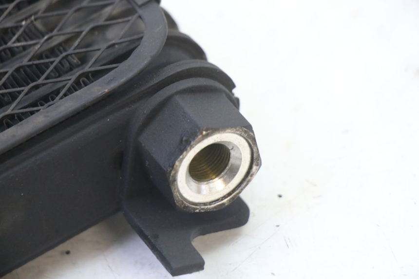 photo de RADIATORE OLIO SUZUKI SV S 650 (2003 - 2009)