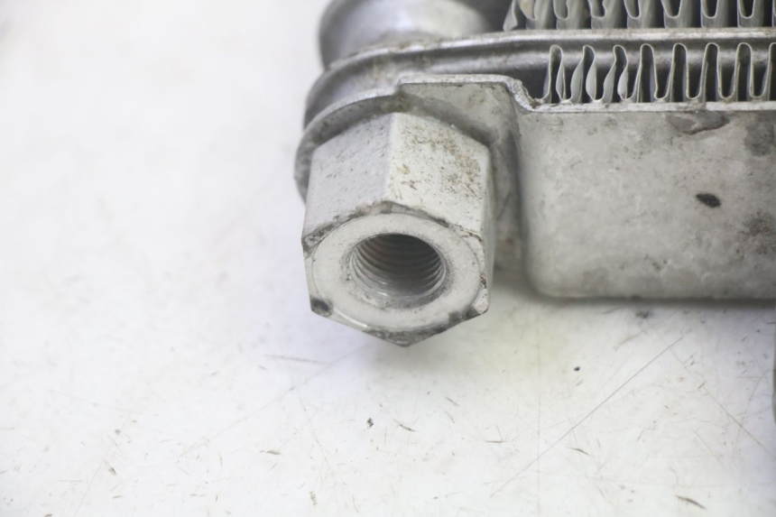 photo de RADIATORE OLIO DAELIM VJ ROADWIN FI 125 (2008 - 2017) - Primo piano tecnico