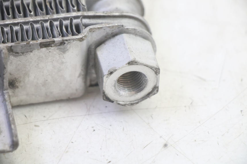 photo de RADIATORE OLIO DAELIM VJ ROADWIN FI 125 (2008 - 2017) - Vista d'insieme del prodotto