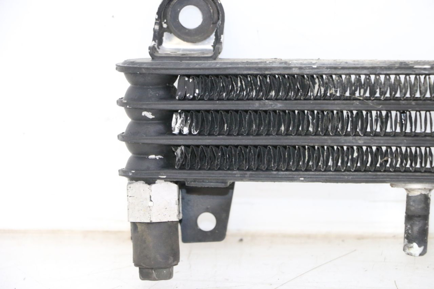 photo de RADIATORE OLIO YAMAHA XJN DIVERSION 600 (2000 - 2003)