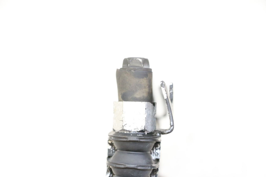 photo de RADIATORE OLIO YAMAHA XJN DIVERSION 600 (2000 - 2003)