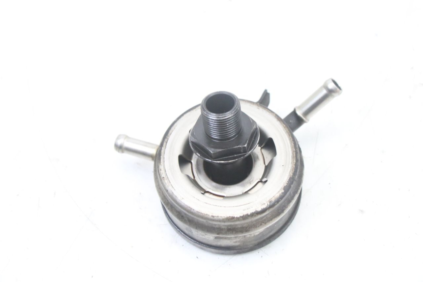 photo de RADIATORE OLIO YAMAHA FZS FAZER 600 (2001 - 2003)