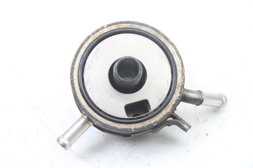 photo de RADIATORE OLIO YAMAHA FZS FAZER 600 (2001 - 2003)