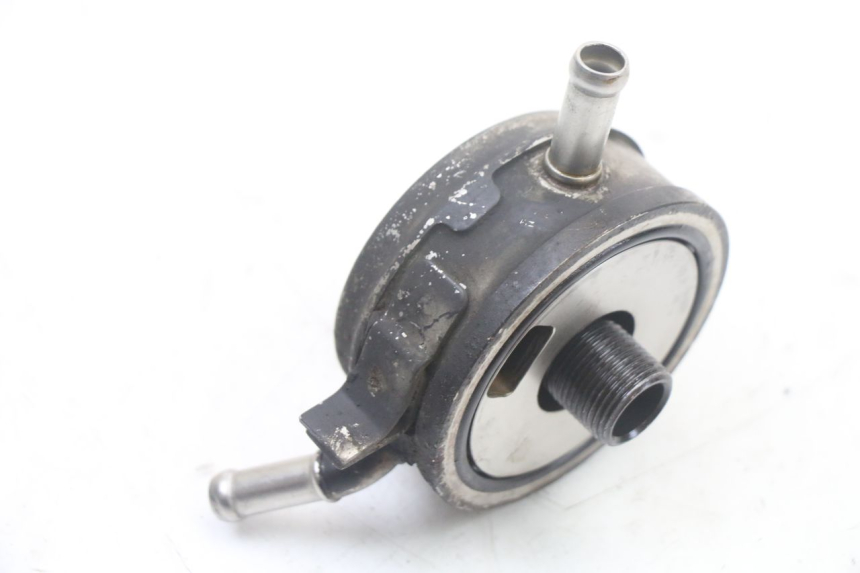 photo de RADIATORE OLIO YAMAHA FZS FAZER 600 (2001 - 2003)