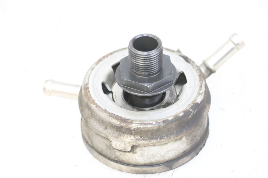 photo de RADIATORE OLIO YAMAHA FZS FAZER 600 (2001 - 2003)