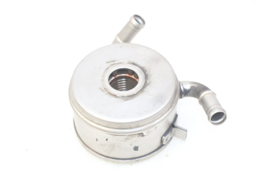 photo de RADIATORE OLIO YAMAHA YZF R1 1000 (2007 - 2008)