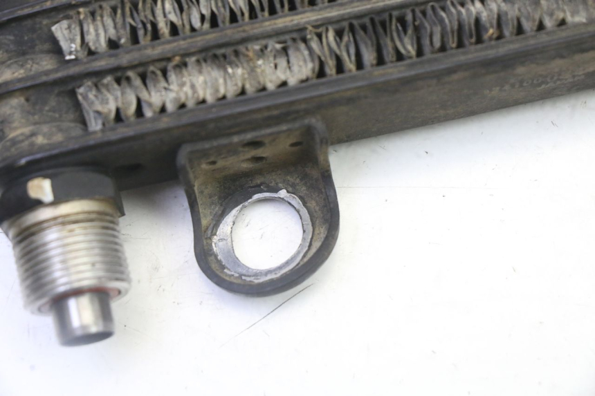 photo de RADIATORE OLIO YAMAHA YFM R RAPTOR 250 (2008 - 2014)