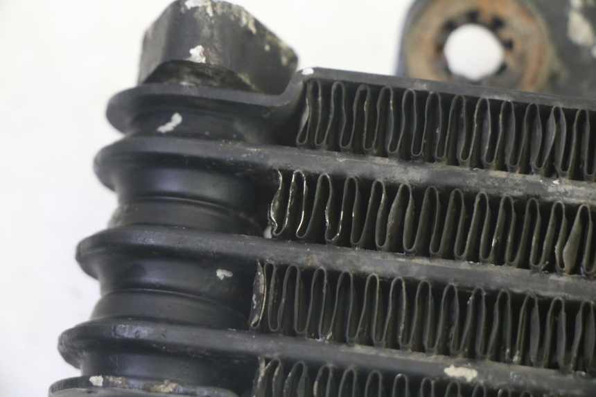 photo de RADIATORE OLIO KYMCO ZING 125 (1997 - 2003) - Dettaglio del componente