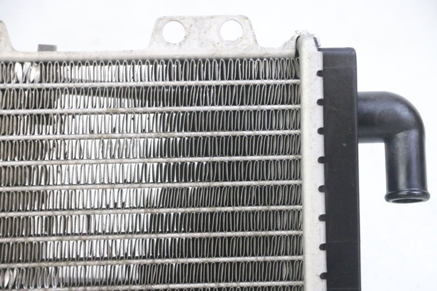 photo de RADIATORE PEUGEOT JET FORCE CARBU 50 (2003 - 2016)
