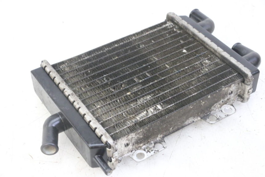photo de RADIATORE PEUGEOT JET FORCE CARBU 50 (2003 - 2016)