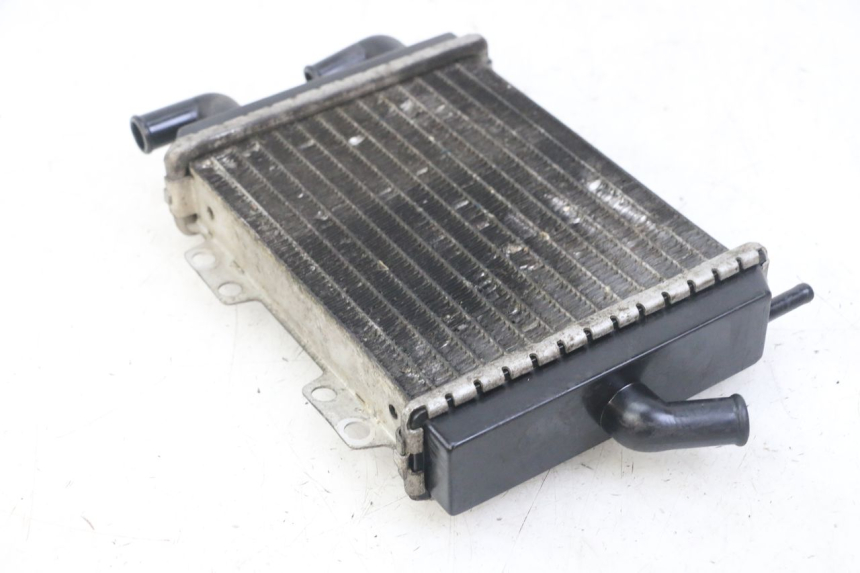 photo de RADIATORE PEUGEOT JET FORCE CARBU 50 (2003 - 2016)