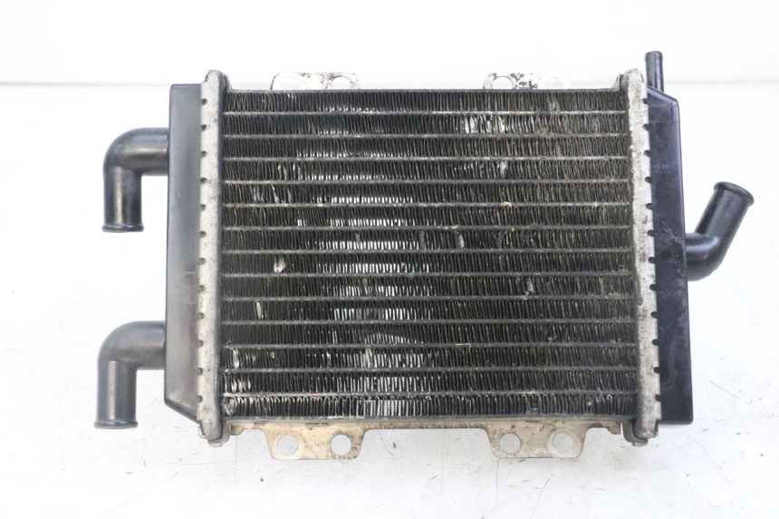 photo de RADIATORE PEUGEOT JET FORCE CARBU 50 (2003 - 2016)