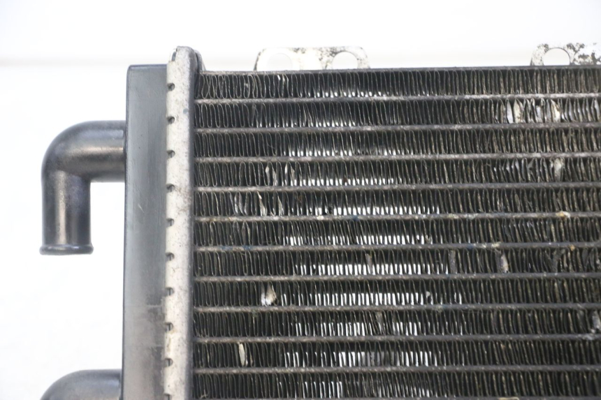 photo de RADIATORE PEUGEOT JET FORCE CARBU 50 (2003 - 2016)