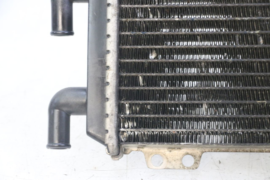 photo de RADIATORE PEUGEOT JET FORCE CARBU 50 (2003 - 2016)