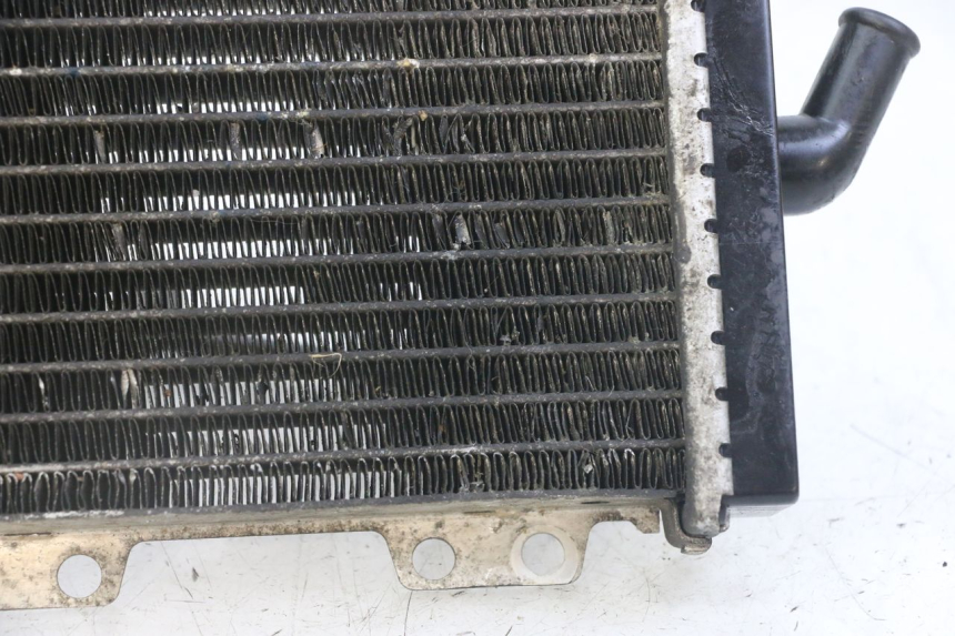 photo de RADIATORE PEUGEOT JET FORCE CARBU 50 (2003 - 2016)