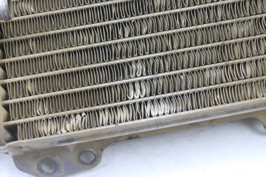 photo de RADIATORE KAWASAKI KX 65 (2000 - 2019)