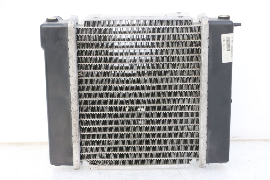 photo de RADIATORE KYMCO GRAND DINK 125 (2008 - 2014)