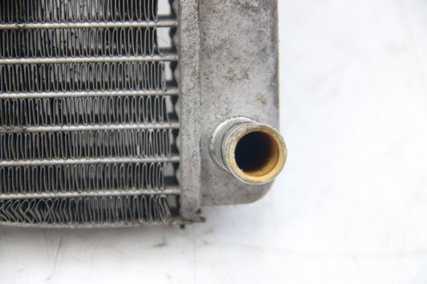 photo de RADIATORE MBK SKYLINER 125 (1998 - 2001)