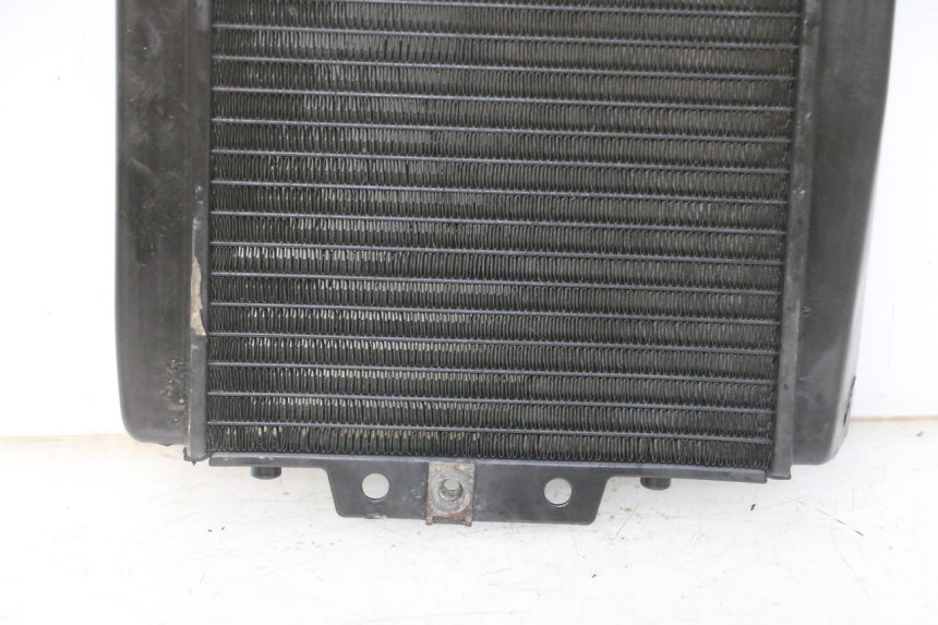 photo de RADIATORE PIAGGIO MP3 LT 300 (2010 - 2016)
