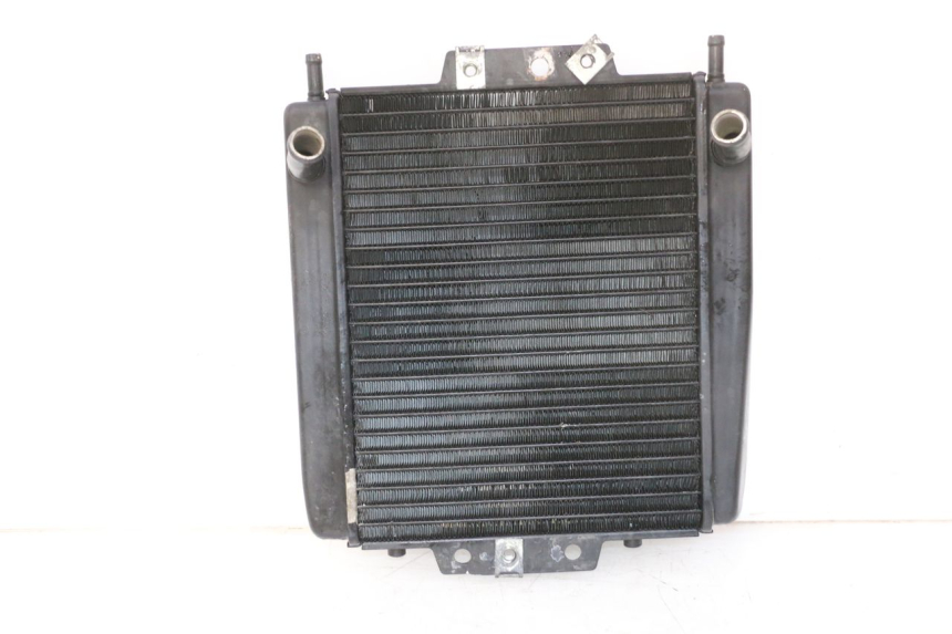 photo de RADIATORE PIAGGIO MP3 RL 250 (2007 - 2010)