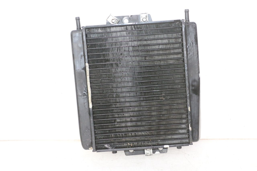photo de RADIATORE PIAGGIO MP3 RL 250 (2007 - 2010)