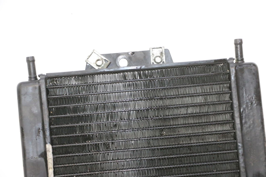 photo de RADIATORE PIAGGIO MP3 RL 250 (2007 - 2010)