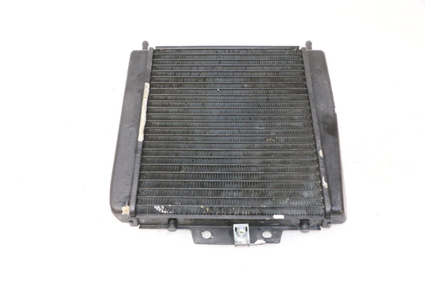 photo de RADIATORE PIAGGIO MP3 RL 250 (2007 - 2010)
