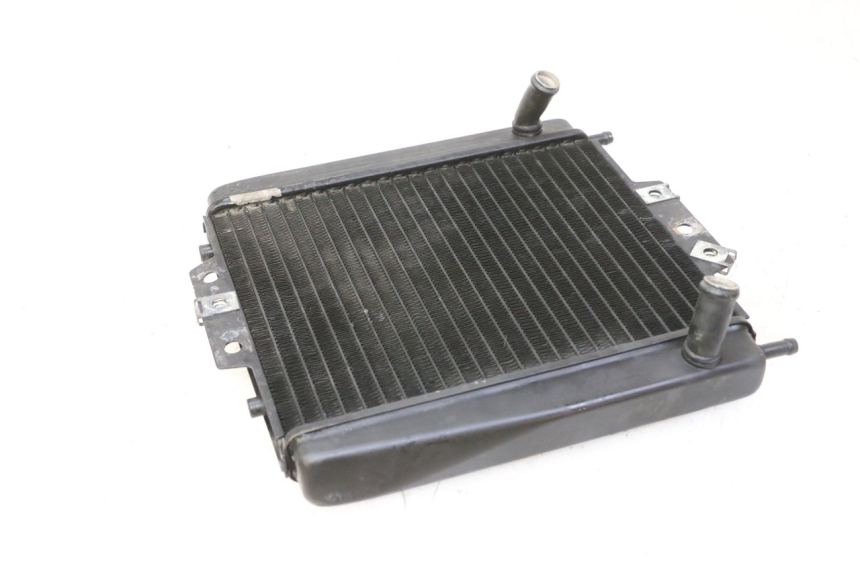 photo de RADIATORE PIAGGIO MP3 RL 250 (2007 - 2010)