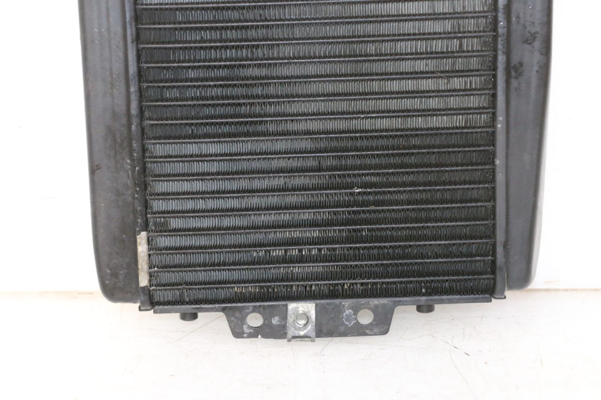 photo de RADIATORE PIAGGIO MP3 RL 250 (2007 - 2010)