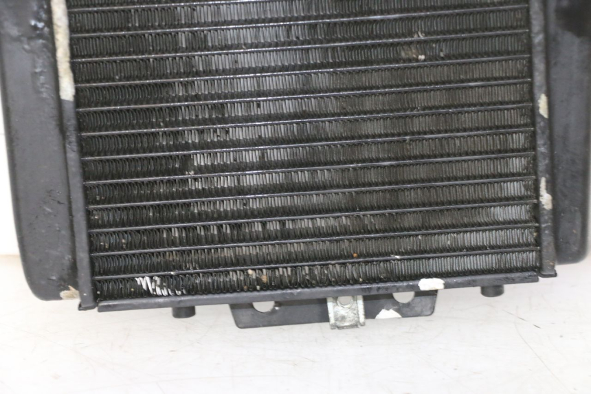 photo de RADIATORE PIAGGIO MP3 RL 250 (2007 - 2010)