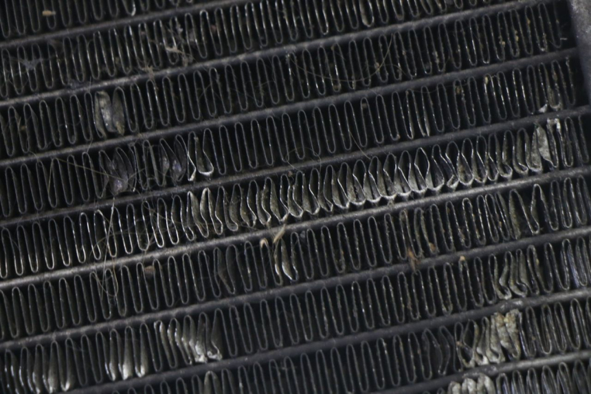 photo de RADIATORE PIAGGIO MP3 125 (2006 - 2014)