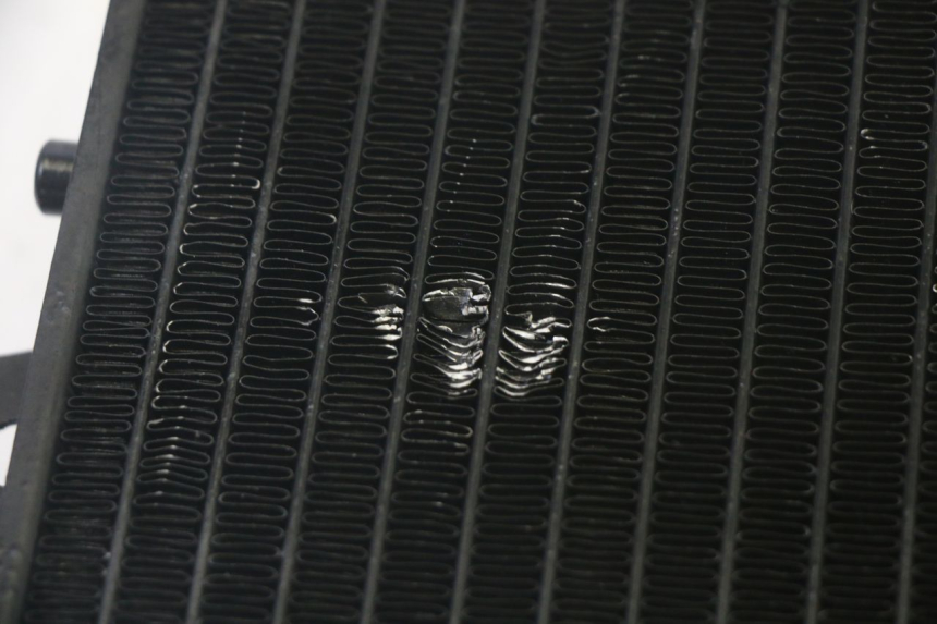 photo de RADIATORE PIAGGIO MP3 RL 250 (2007 - 2010) - Dettaglio del componente