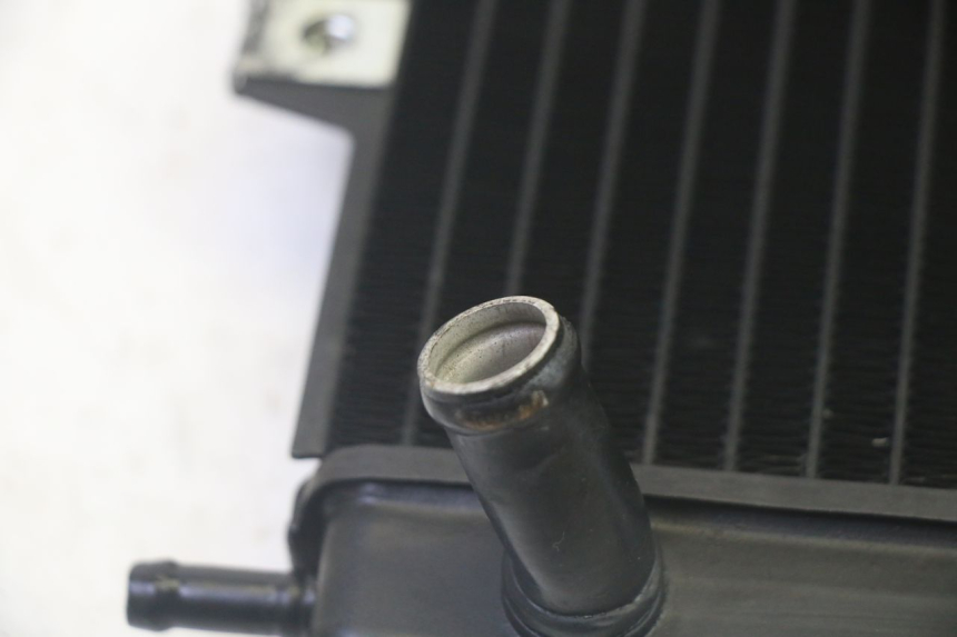 photo de RADIATORE PIAGGIO MP3 RL 250 (2007 - 2010) - Altra vista dell'articolo