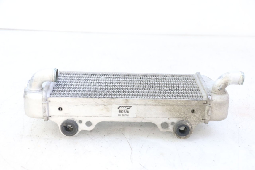 photo de RADIATORE RIEJU MRT 50 (2018 - 2021)