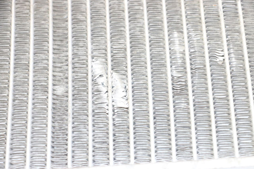 photo de RADIATORE GILERA NEXUS 125 (2009 - 2013)