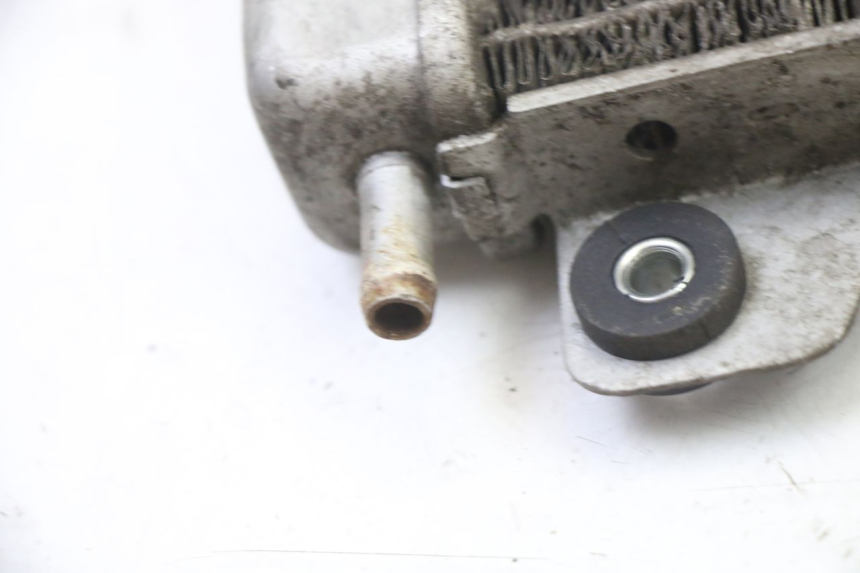 photo de RADIATORE GILERA NEXUS 125 (2009 - 2013)