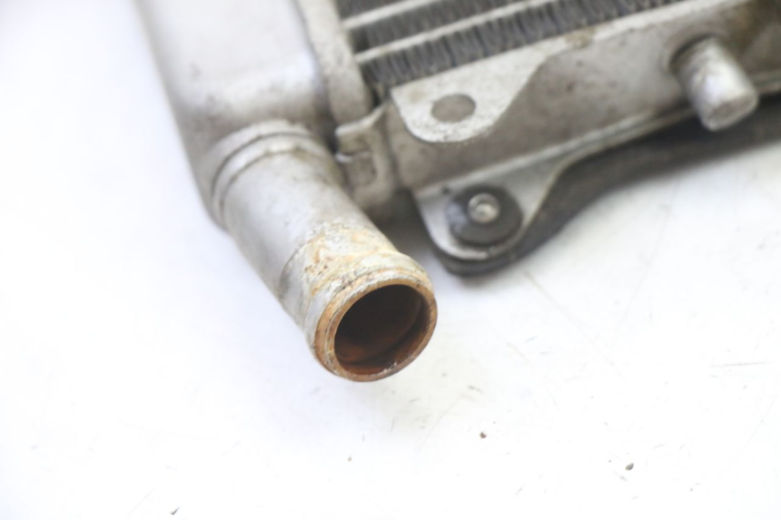 photo de RADIATORE GILERA NEXUS 125 (2009 - 2013)