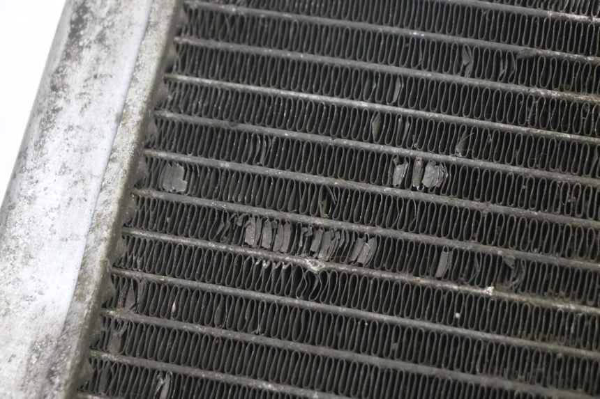 photo de RADIATORE GILERA NEXUS 125 (2009 - 2013)