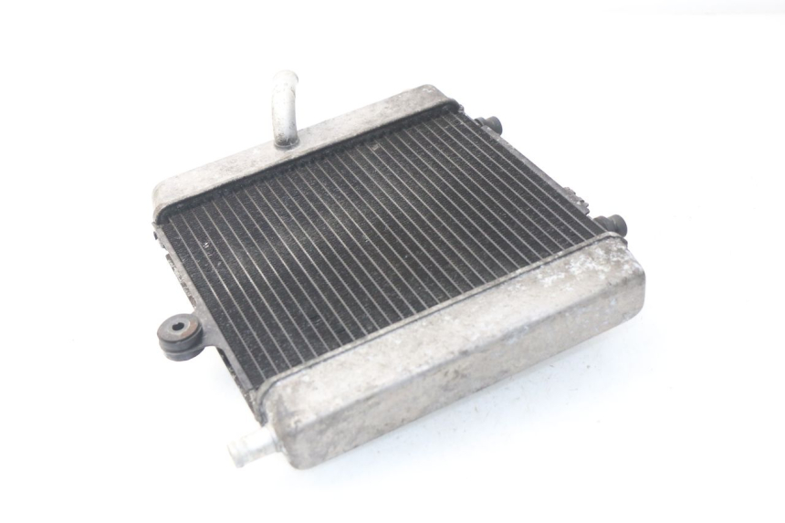 photo de RADIATORE HONDA NSS EX FORZA 250 (2005 - 2013)