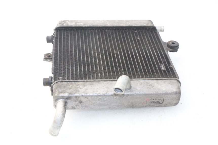 photo de RADIATORE HONDA NSS EX FORZA 250 (2005 - 2013)