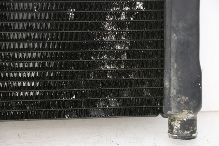 photo de RADIATORE HONDA NTV DEAUVILLE 650 (2001 - 2006)