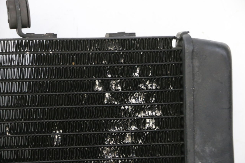 photo de RADIATORE HONDA NTV DEAUVILLE 650 (2001 - 2006)