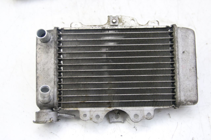 photo de RADIATORE HONDA PES PS I 125 (2006 - 2012)