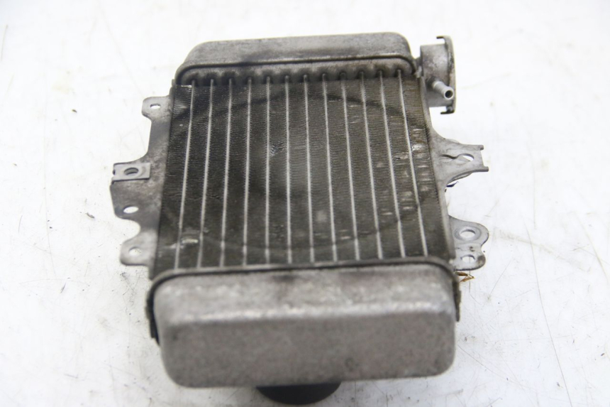 photo de RADIATORE HONDA PES PS I 125 (2006 - 2012)
