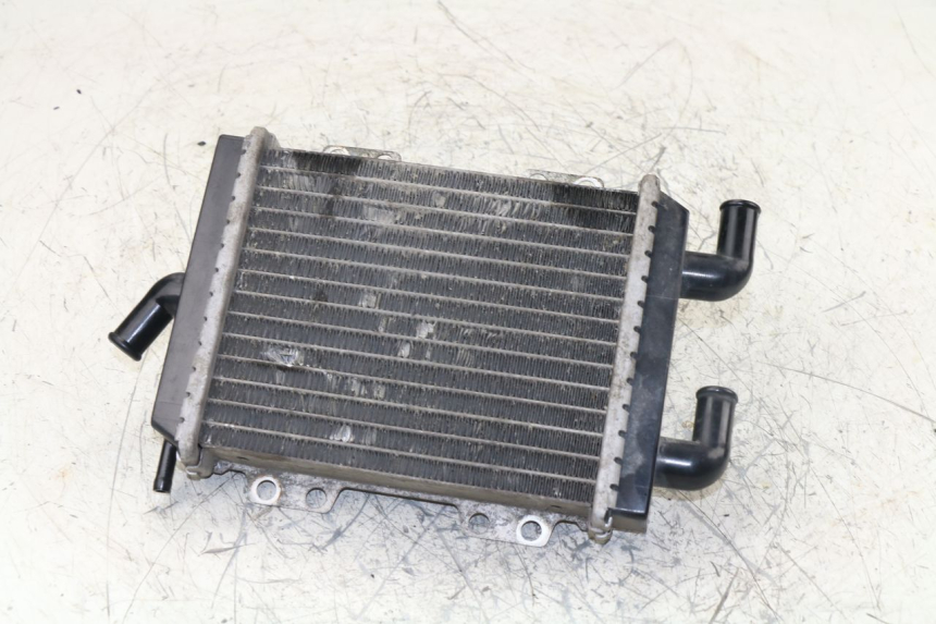 photo de RADIATORE PEUGEOT JET FORCE TSDI 50 (2003 - 2009)