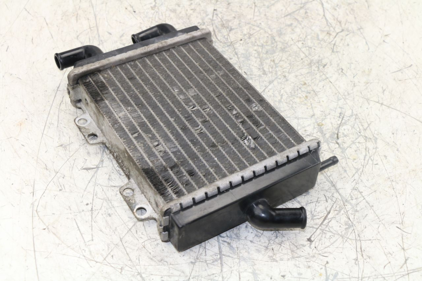 photo de RADIATORE PEUGEOT JET FORCE TSDI 50 (2003 - 2009)
