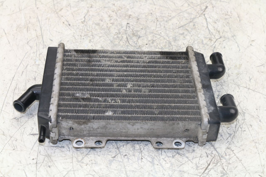 photo de RADIATORE PEUGEOT JET FORCE TSDI 50 (2003 - 2009)