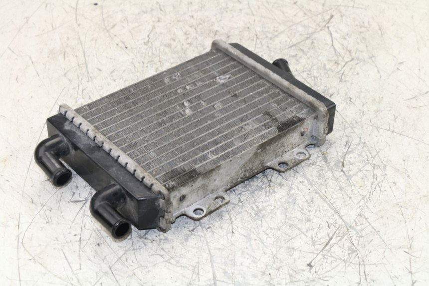 photo de RADIATORE PEUGEOT JET FORCE TSDI 50 (2003 - 2009)